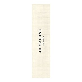 Wood Sage & Sea Salt Cologne 